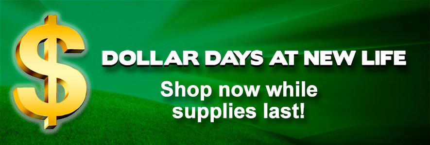 Dollar-Days-store-Banner