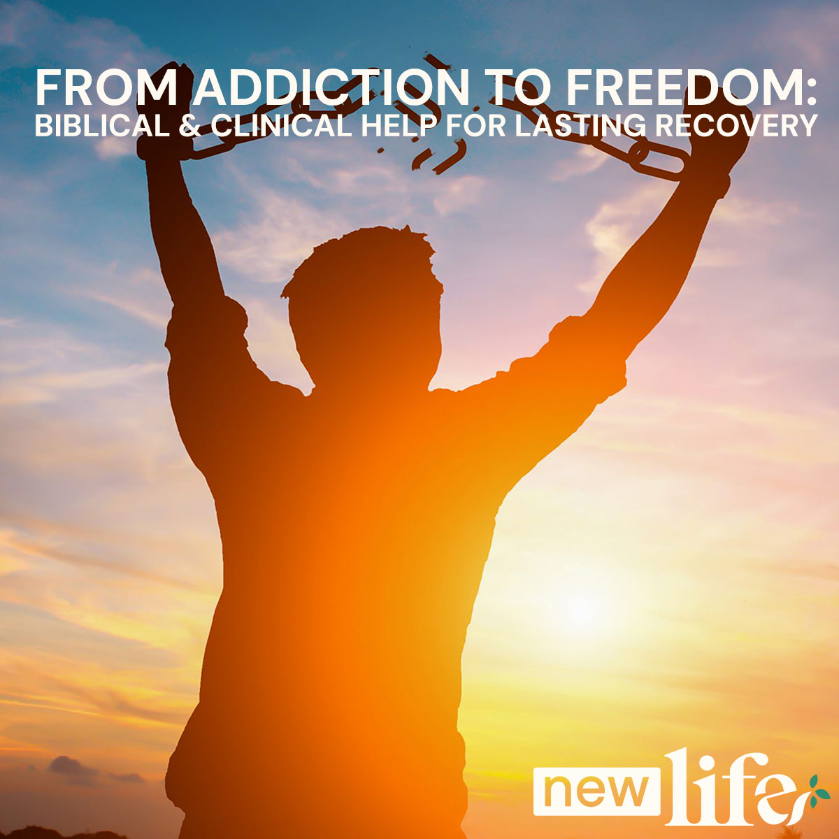 from addiction to freedom webinar