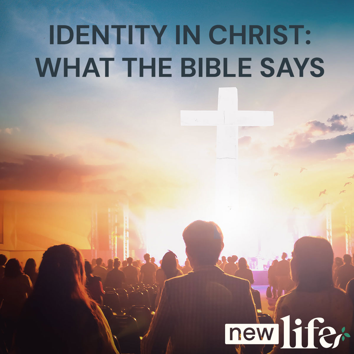identity in christ what the bible says